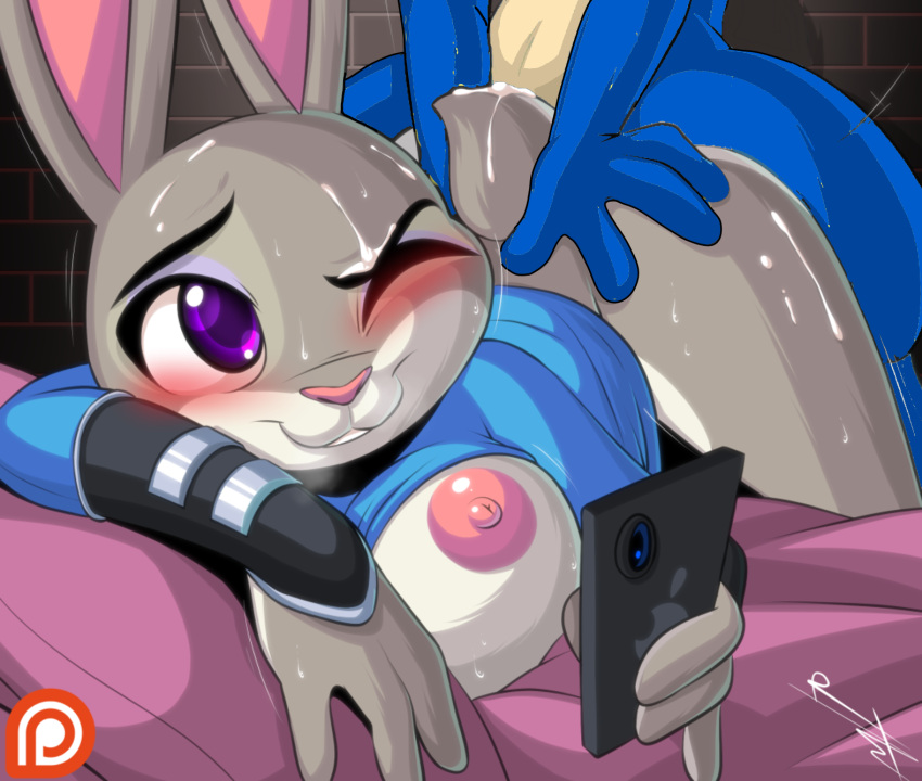 1girl 2:3 4_fingers ambiguous_penetration anthro anthro_on_anthro anthro_penetrated anthro_penetrating anthro_penetrating_anthro ass ass_up big_ass big_breasts big_nipples blue_fur bulldog canine cellphone coated clothing crossover cum cum_on_tail dipstick_ears disney duo edit euyoshi89 female_penetrated finger from_behind_position fur genital_fluids half-closed_eyes high_resistible hybrid intraspecies jockey_position judy_hopps kneel lagomorph leporid looking_back looking_down looking_up male male/female male_penetrating male_penetrating_female mammal_movement_lines multicolored_ears multicolored_fur tighted_eyes nipples nude one_eye_closed_mouth_open_mouth penetration phone puppycorn purple_eyes rabbit raise_clothes قميص مرفوع، قميص علوي مرفوع، قميص rbuk، قميص جنسي، هاتف ذكي، عرق، فرو أسمر، أفخاذ سميكة، لسان دافع، لسان مفتوح، قميص علوي، يونيكورن، يونيكيتي!، جدار (هيكل)، زوتوبيا