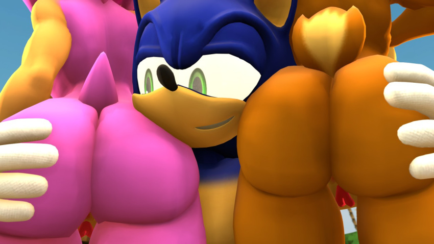 2girls1boy amy_rose ass ass_grab face_near_ass trash-chan gripbing_ass nude_female puss pussy sally_acorn sega sonic_the_hedgehog sonic_the_hedgehog_(archie) sonic_the_hedgehog_(comics) sonic_the_hedgehog_(series) source_filmmaker